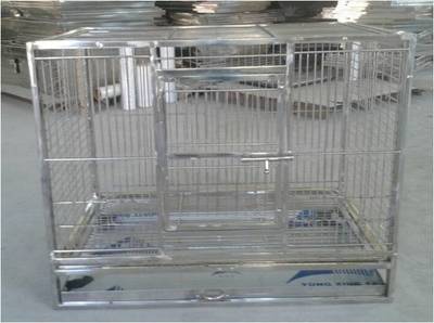 不锈钢鸟笼与繁殖笼 您家鹦鹉的安全港湾