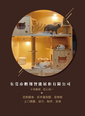 专属于爱宠的温暖港湾——全方位宠物服务公司介绍