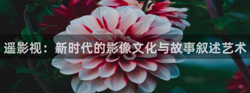 蓝莓视频素材：遥影视：新时代的影像文化与故事叙述艺术