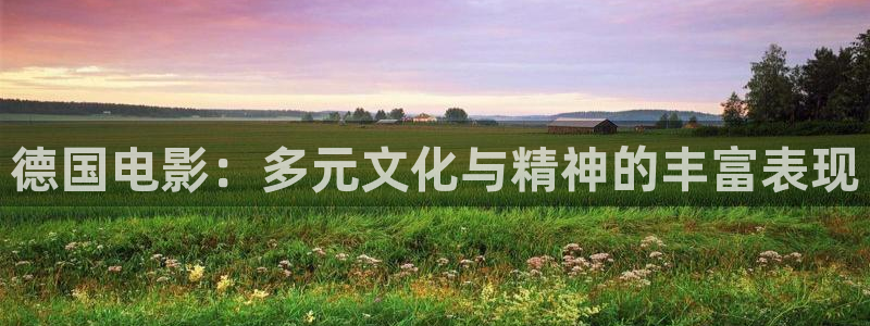 蓝莓视频下载免费观看：德国电影：多元文化与精神的丰富表现