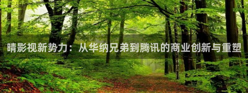 蓝莓※视频：晴影视新势力：从华纳兄弟到腾讯的商业创新与重塑