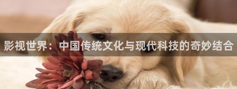 蓝莓视频是什么：影视世界：中国传统文化与现代科技的奇妙结合