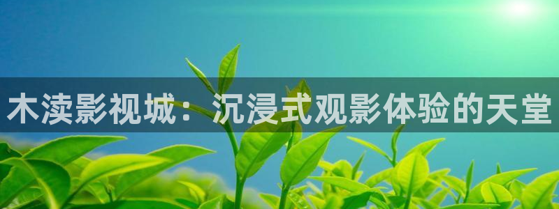 蓝莓视频在线看b站：木渎影视城：沉浸式观影体验的天堂