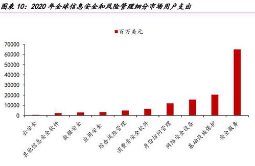 网络安全的未来在于服务 网络与信息安全软件开发的发展趋势