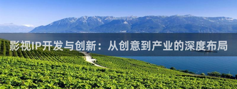 蓝莓视频18：影视IP开发与创新：从创意到产业的深度布局