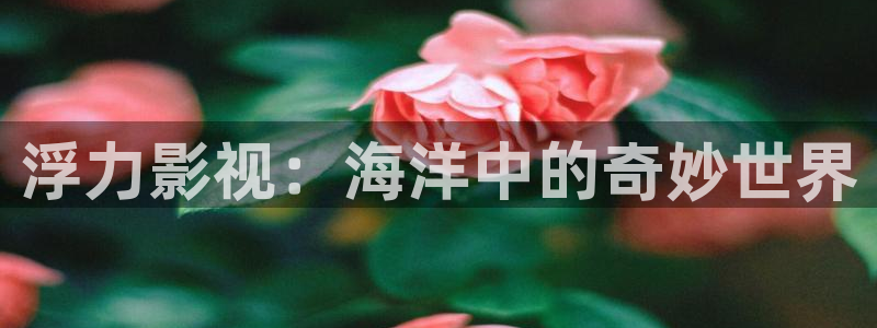 国产蓝莓视频在线：浮力影视：海洋中的奇妙世界