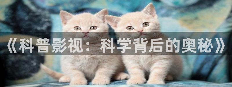 蓝莓视频在线观：《科普影视：科学背后的奥秘》