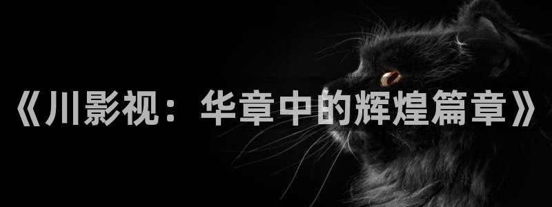 蓝莓视频下载免费观看：《川影视：华章中的辉煌篇章》