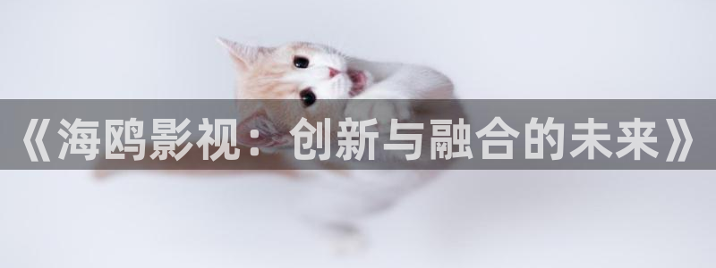 蓝莓影院：《海鸥影视：创新与融合的未来》